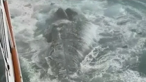Norwegian Cruise Line ship hits iceberg, passenger...