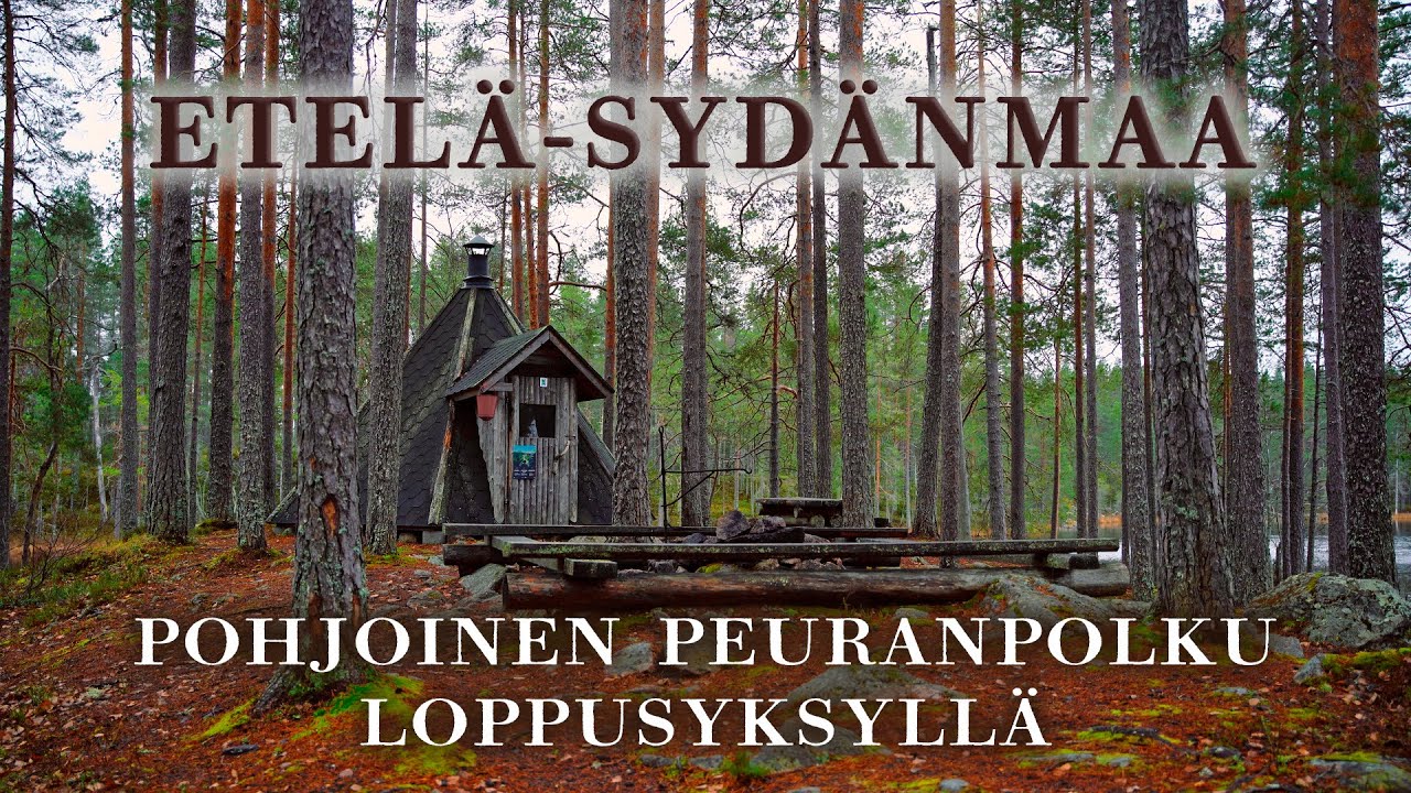 Eräsauna Saarijärvellä ja karpaloita Koukkusella | Etelä-Sydänmaa 2025