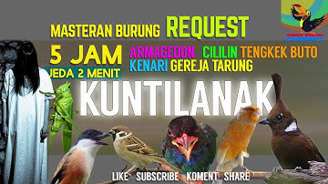 REQUEST MASTERING #2 6 in 1 MASTERAN KICAU BURUNG Jenggot BURGER Cililin TENGKEK Kenari Walang KUNTI
