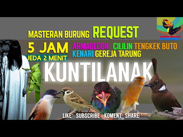 REQUEST MASTERING #2 6 in 1 MASTERAN KICAU BURUNG Jenggot BURGER Cililin TENGKEK Kenari Walang KUNTI class=