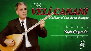 Veli Canani - Yaşlı Çağımda Resimi