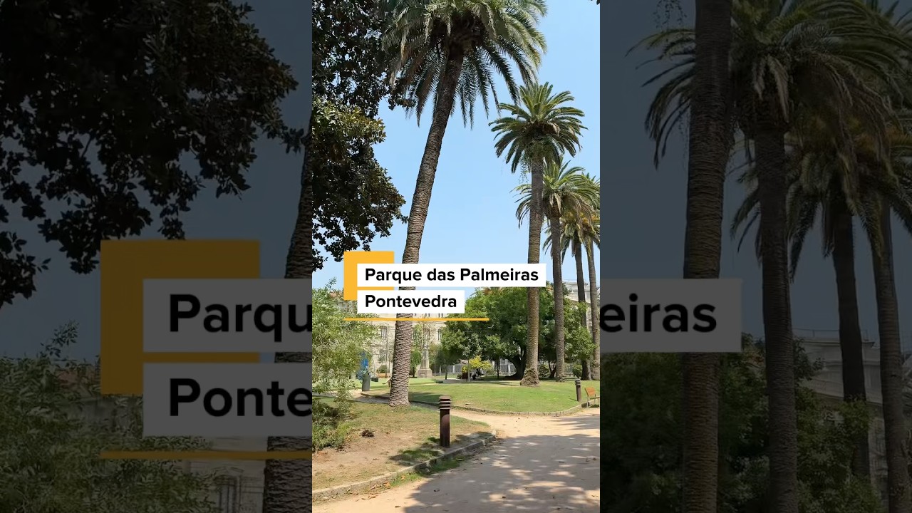 What to See Near Parque de las Palmeras | Pontevedra, Galicia🇪🇸