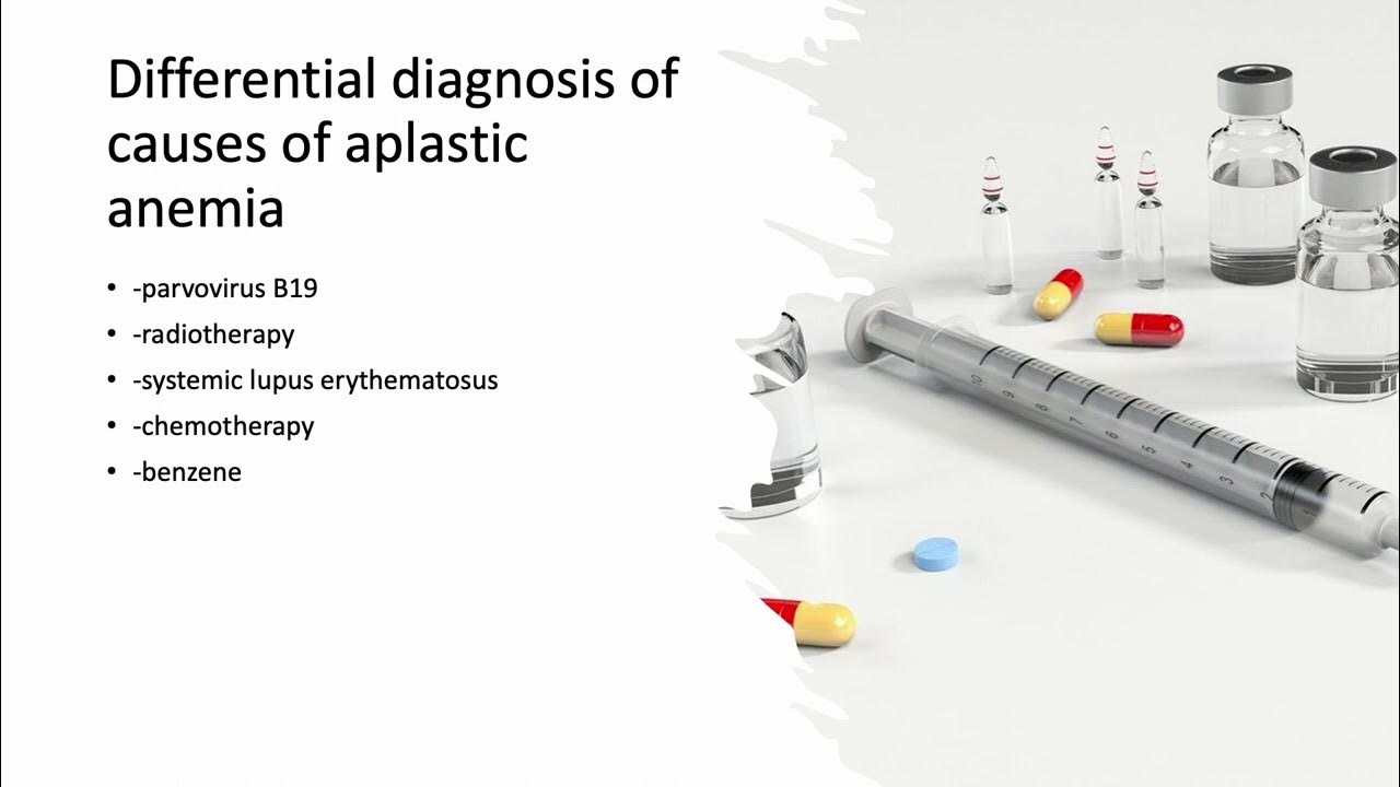 Differential diagnosis of causes of aplastic anemia YouTube