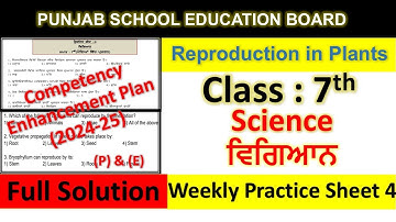 pseb competency based paper class 7th science worksheet 4 test 2024