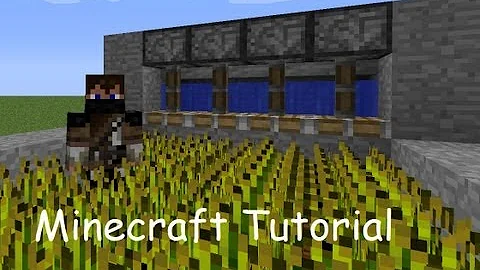 Proč je Minecraft tak populární?