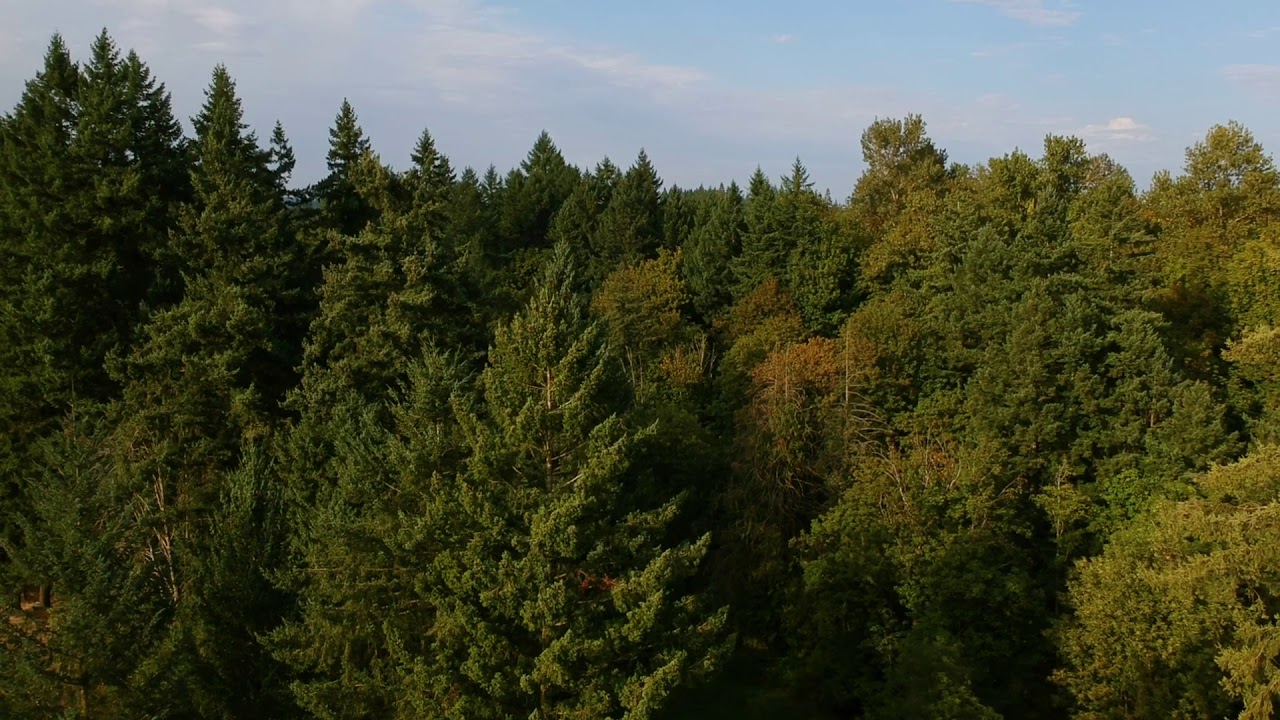 Great Home w/25 AC and Hazelnut Farm FOR SALE Live & Work Opportunity