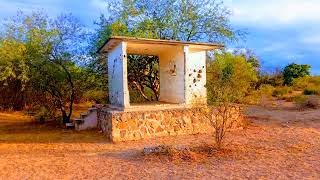 Pintando huellas por Basiabampo