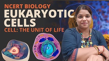 What is eukaryotic cell | Class 11| Cell the unit of life | Biology | NCERT