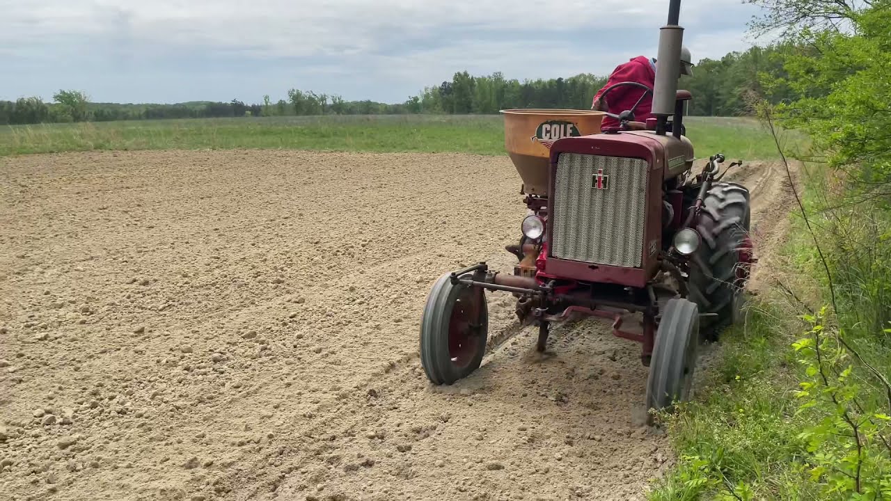 Farmall 140 Planting Hastings Prolific Corn YouTube