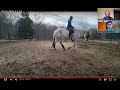 Horse Transitioning from Forehand to Hindquarters for Balance
