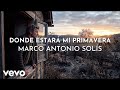 Marco Antonio Solís - Donde Estará Mi Primavera (Visualizer)