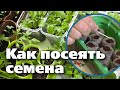 НЕСКОЛЬКО УДОБНЫХ СПОСОБОВ ПОСЕВА СЕМЯН. Подходят для овощей и цветов