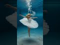 Beauty That Takes Your Breath Away Create Underwater Masterpieces With WeryAI
