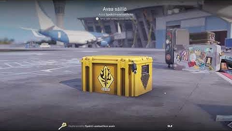 DAY 155 OPENING CS2 CASES UNTIL I GET GOLD!