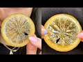  candied lemon slices recipe  simple and delish by canan