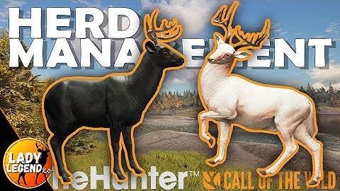How HERD MANAGEMENT Helps to Spawn BIG RARES!!! - Call of the Wild