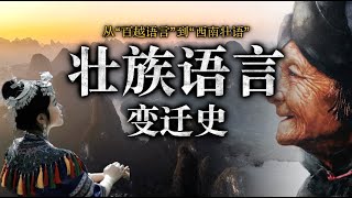 从“百越语言”到“西南壮语”—壮族语言变迁史！