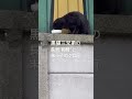 #shorts #野良猫 #保護猫 #黒猫 #猫のいる暮らし #blackcat