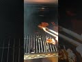 Cooking flavoured chicken thigh Fillet in a barbecue part 4