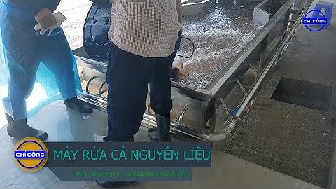 [CHICONG] Máy rửa cá nguyên liệu, máy rửa cá công nghiệp, máy rửa cá băng chuyền, máy rửa
