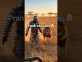 Why Is He Running! Lion Nearly Catches Him 😨🔥