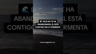 DIOS NO TE HA ABANDONADO, ÉL ESTÁ CONTIGO EN LA TORMENTA