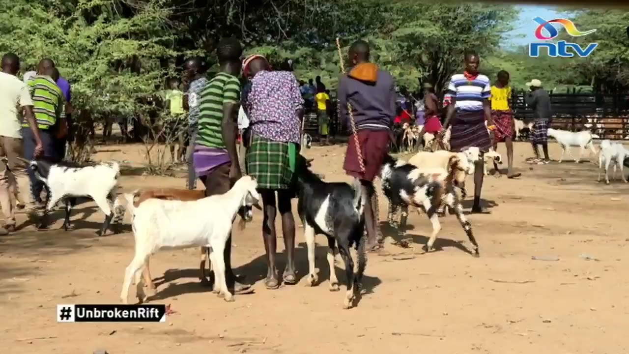 Мир в Сугуте приносит новые трудности: нищету и невыполненные обещания.