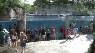 Mystic Aquarium