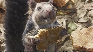 『ジャングル・ブック』登場のサルの毛は全匹合わせると5億本！ 『ジャングル・ブック』動物たちのトリビア映像