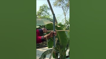 super crazy bow and arrow Amazing Bamboo Slingshots #toys #bamboo  #craft