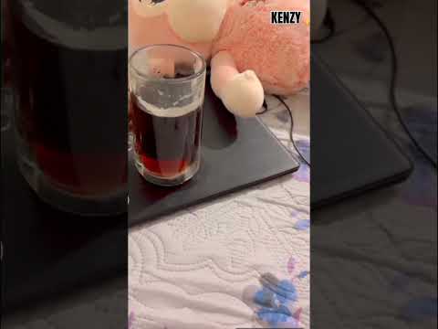 I Thought It Was Still Too Early To See How Life Was Happening 