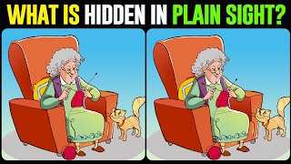 Spot The Difference : Crack the 3-Difference Code! [Find The Difference #82]