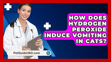 How Does Hydrogen Peroxide Induce Vomiting In Cats? - PetGuide360.com