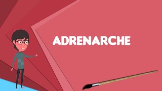 What is Adrenarche? Explain Adrenarche, Define Adrenarche, Meaning of Adrenarche