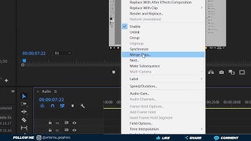 Sida muuqaal iyo cod lesku saaro | Premiere Pro Af soomaali