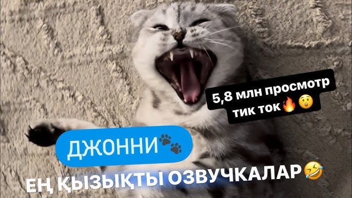 Бір бөліктен жасалған купальник киген лесбиянкалар HD форматында құшақтасып отыр