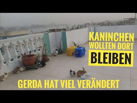 Ab zu Gerda