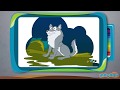 Understanding the Video Tutorial