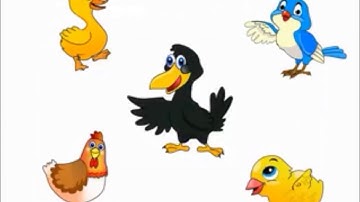 Class IV Science (Birds –Beaks and Claws)