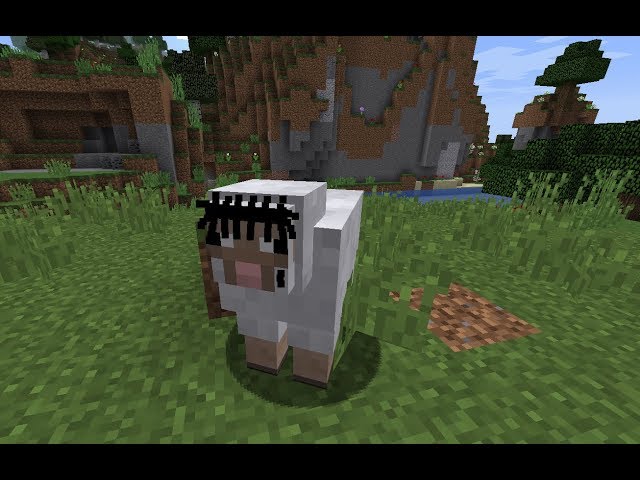 Playboi Carti - Flatbed Freestyle [Minecraft Remix]