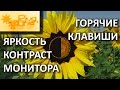 Настройка яркости и контрастности монитора. Горячие клавиши.