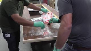 Refinishing Frp Wood Grain Doors