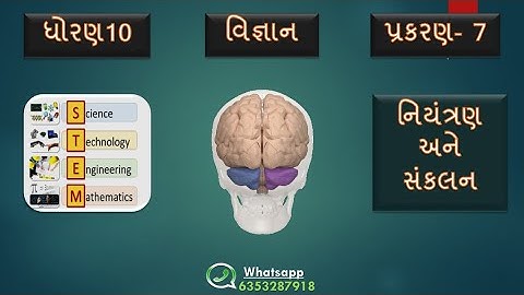 Std 10 વિજ્ઞાન  CH 7 નિયંત્રણ અને સંકલન  ll STEM SCHOOL ll Control and Coordination