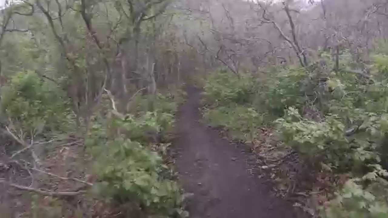 Raw footage for hyperlapse experiment