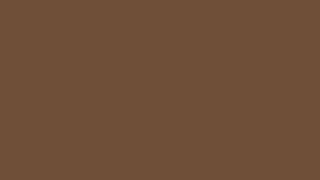 Mocha Brown ☕ 4K 10 Hours Cafe Background