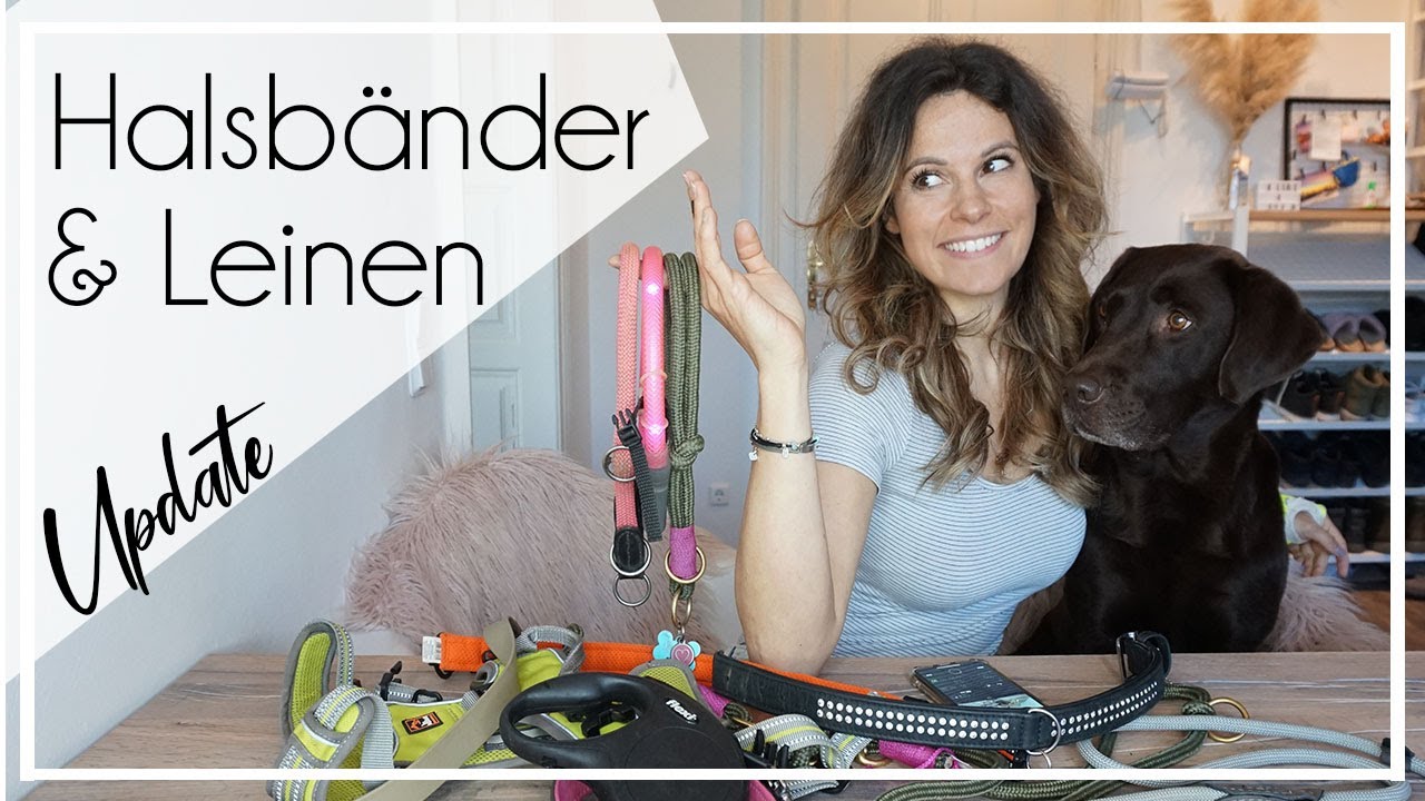 Halsband & Leinen Update | 