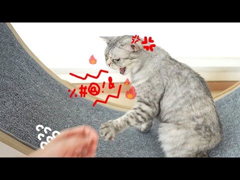 충격! 티티가 흑화했습니다