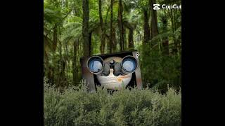 HELIKOPTER HELIKOPTERRR🚁🚁🚁🚁🚁🚁🚁