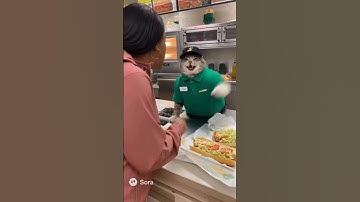 Angry Subway Cat Employee Snaps at Customer 😂🐾 #shorts #funnycatvideo #catlovers