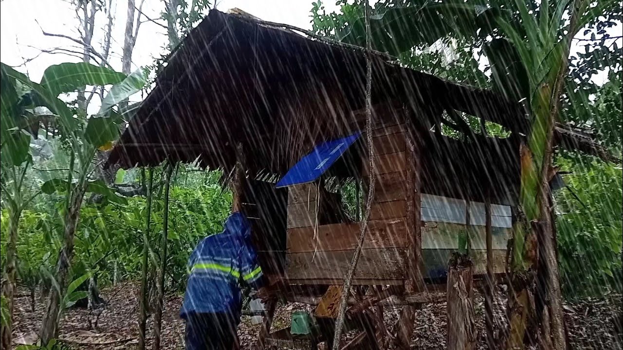 Terrifying Situation! Heavy Rain and Strong Winds Hit Day and Night, ASMR